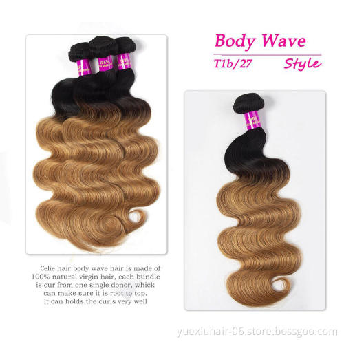 CELIE Body Wave 1B/27 Ombre Women Human Hair Mink 100% Virgin Hair Good Quality Human Hair Bulk